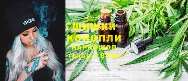 амф Арсеньев