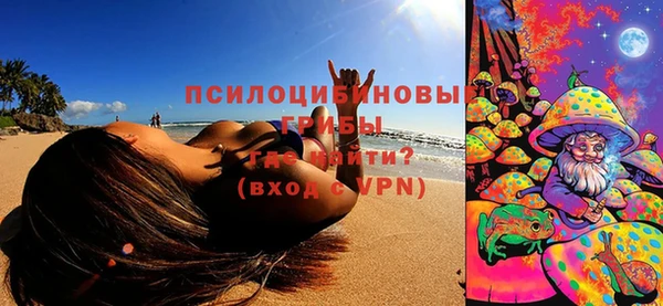 круглые Аркадак