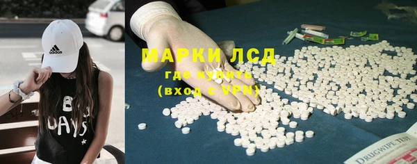 шишки Осинники