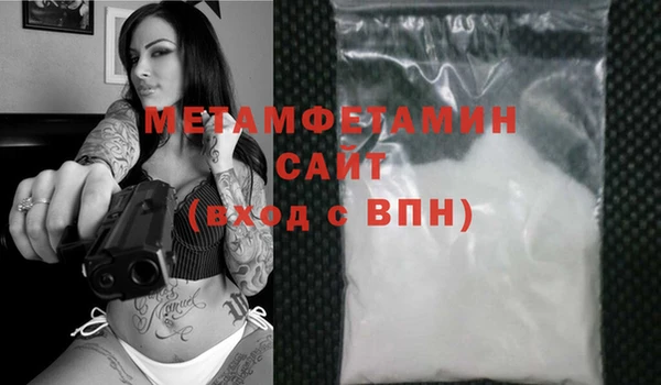 шишки Осинники