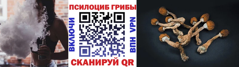 Псилоцибиновые грибы Magic Shrooms Дмитровск