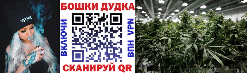 Бошки Шишки White Widow  Купить закладки  Дмитровск 
